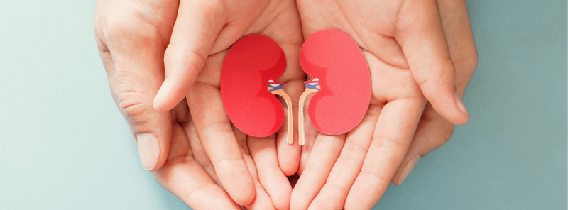 10 Common Causes of Poor Kidney Health