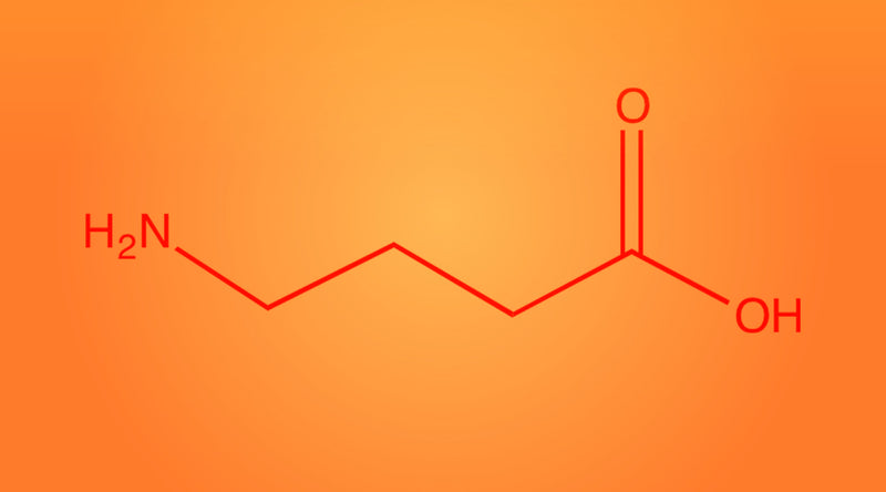 GABA Our Miracle Chemical in Stressful Times