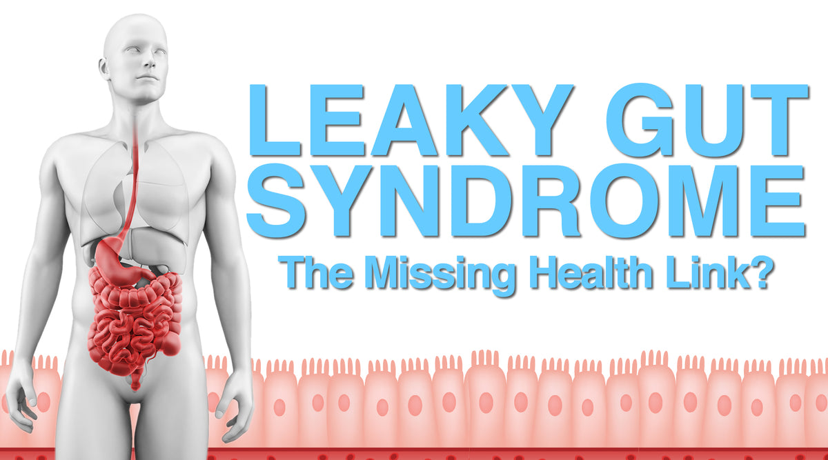 Leaky Gut Syndrome The Missing Health Link? Vitality and Wellness