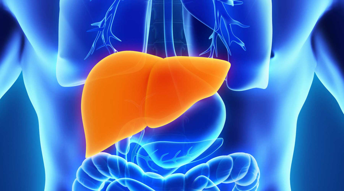Liver Detoxification Program | Vitality and Wellness