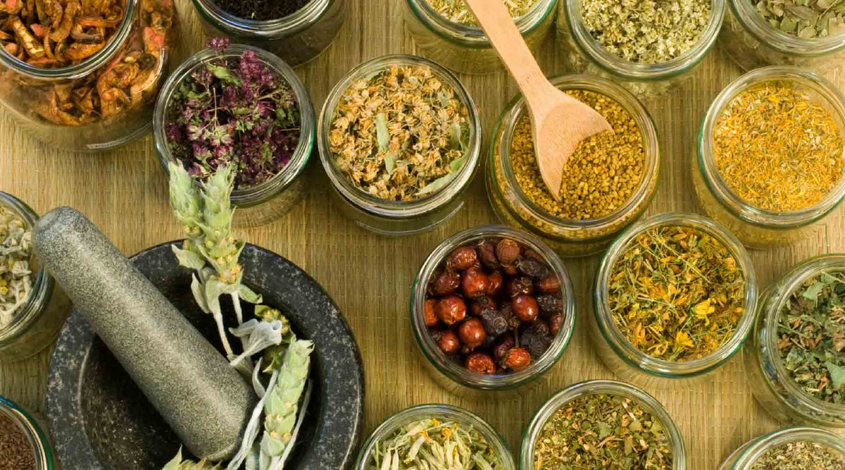 Naturopathic Medicine | Vitality and Wellness