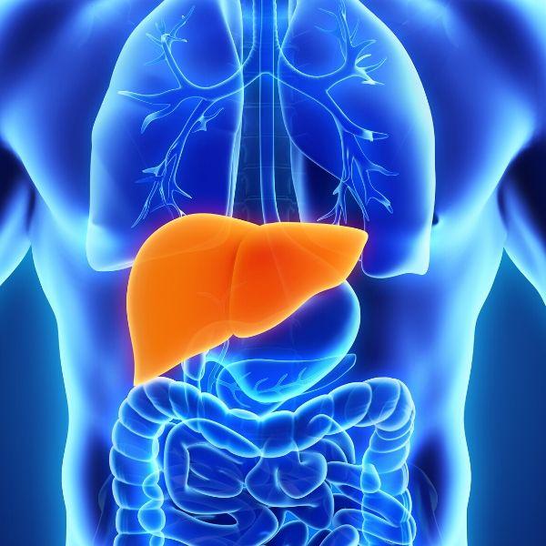 Liver Health