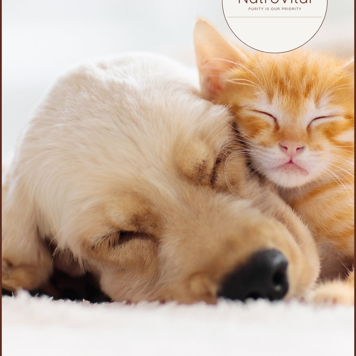 NatroVital For Pets