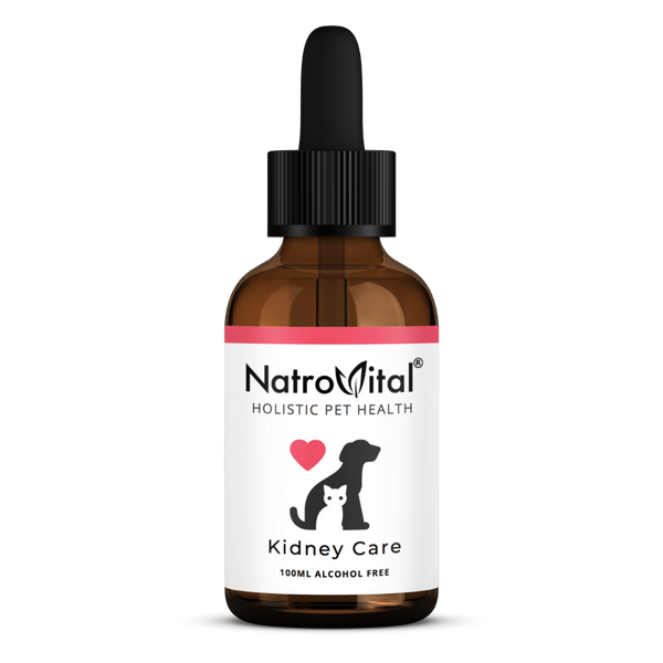NatroVital For Pets Kidney Care