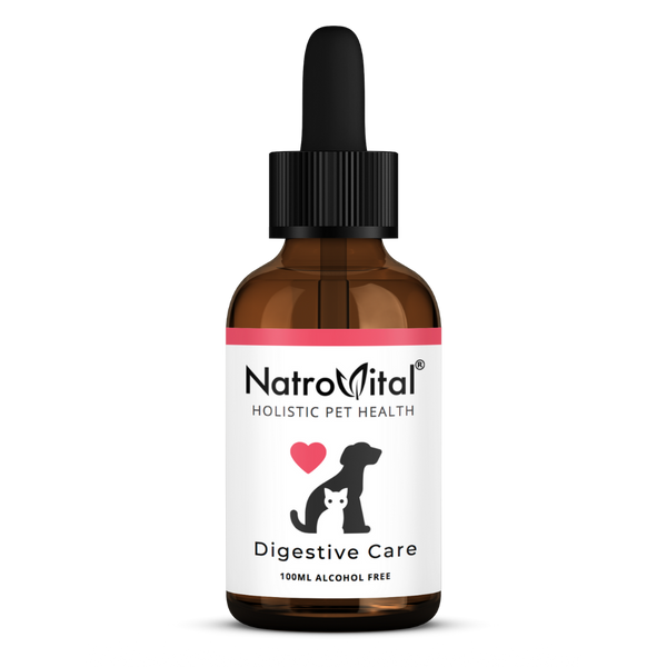 NatroVital For Pets Digestive Care