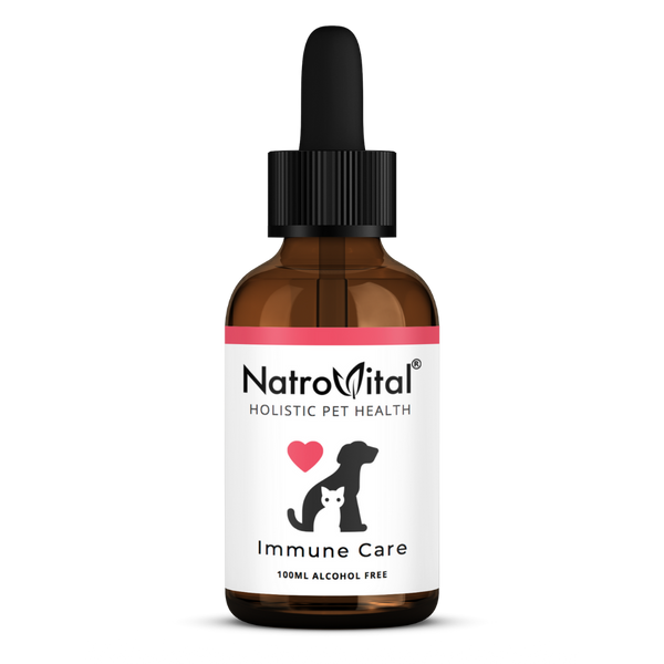 NatroVital For Pets Immune Care