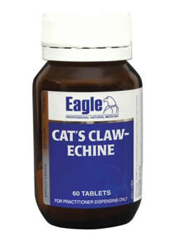 Eagle Cat's Claw-Echine