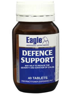 Eagle Defence Support